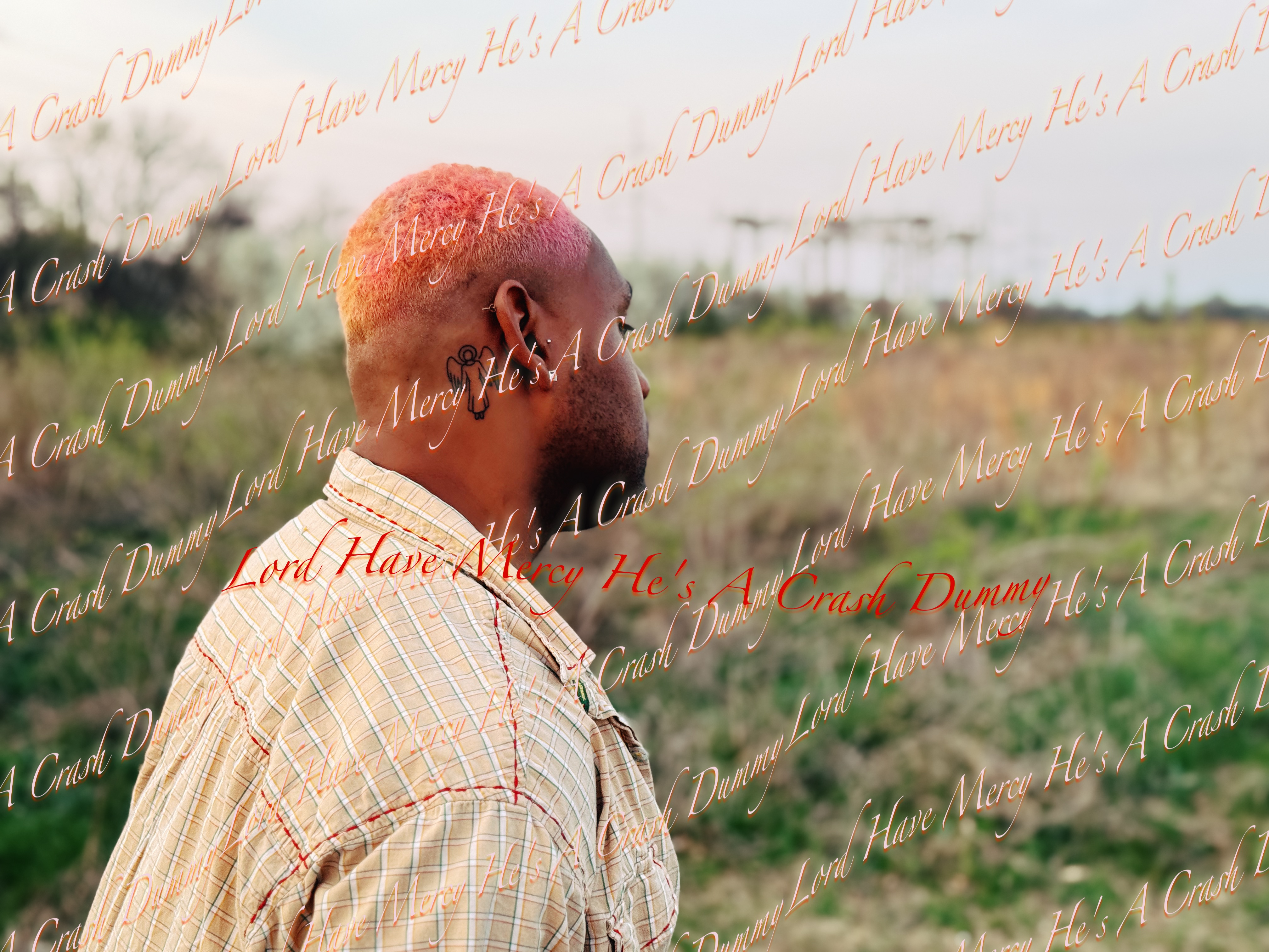 Saint Jules field portrait with album watermark