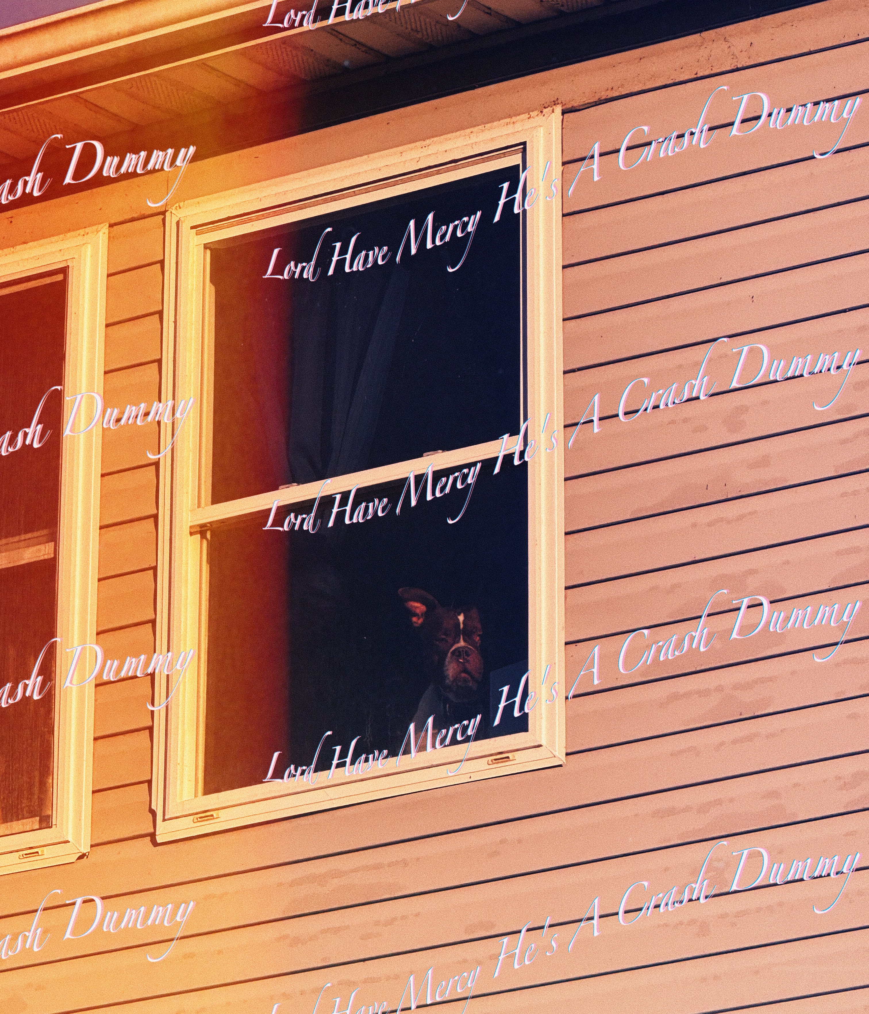 Dog in window photo with album watermark